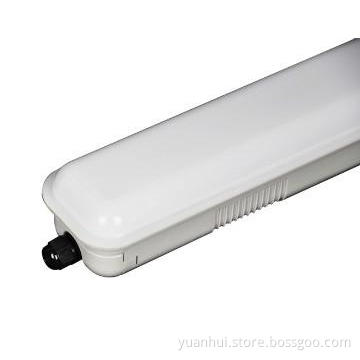 LED IP65 waterproof lamp with SAA and C-tick